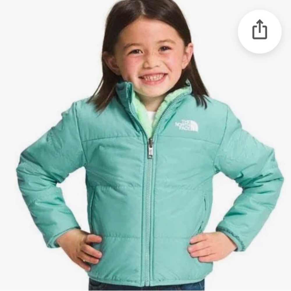 The North Face Kids' Teal Puffer Jacket 3T